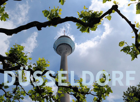 Düsseldorf: Nanny  und Babysitter gesucht